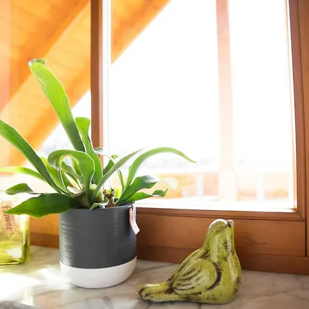 Apartment Ferien-winzerhof Kessler Meersburg