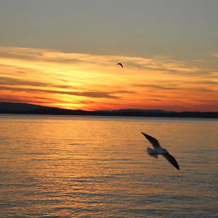 Ferien-winzerhof Kessler Apartment