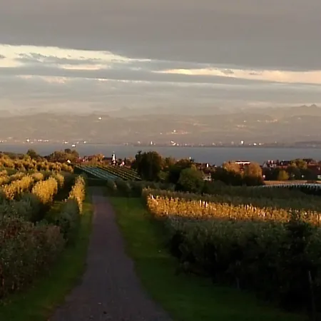 Ferien-winzerhof Kessler