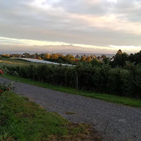 Ferien-winzerhof Kessler アパート *